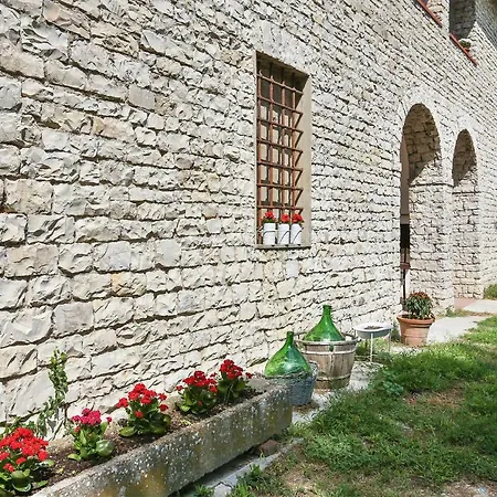 Guest house Pazzo