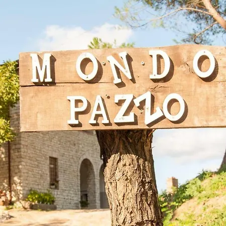 Pazzo